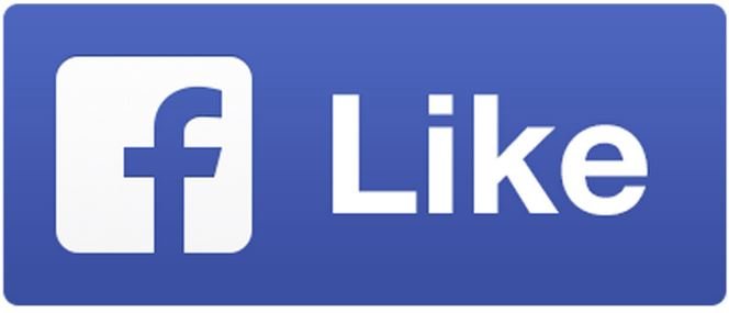 fb pirtnieks